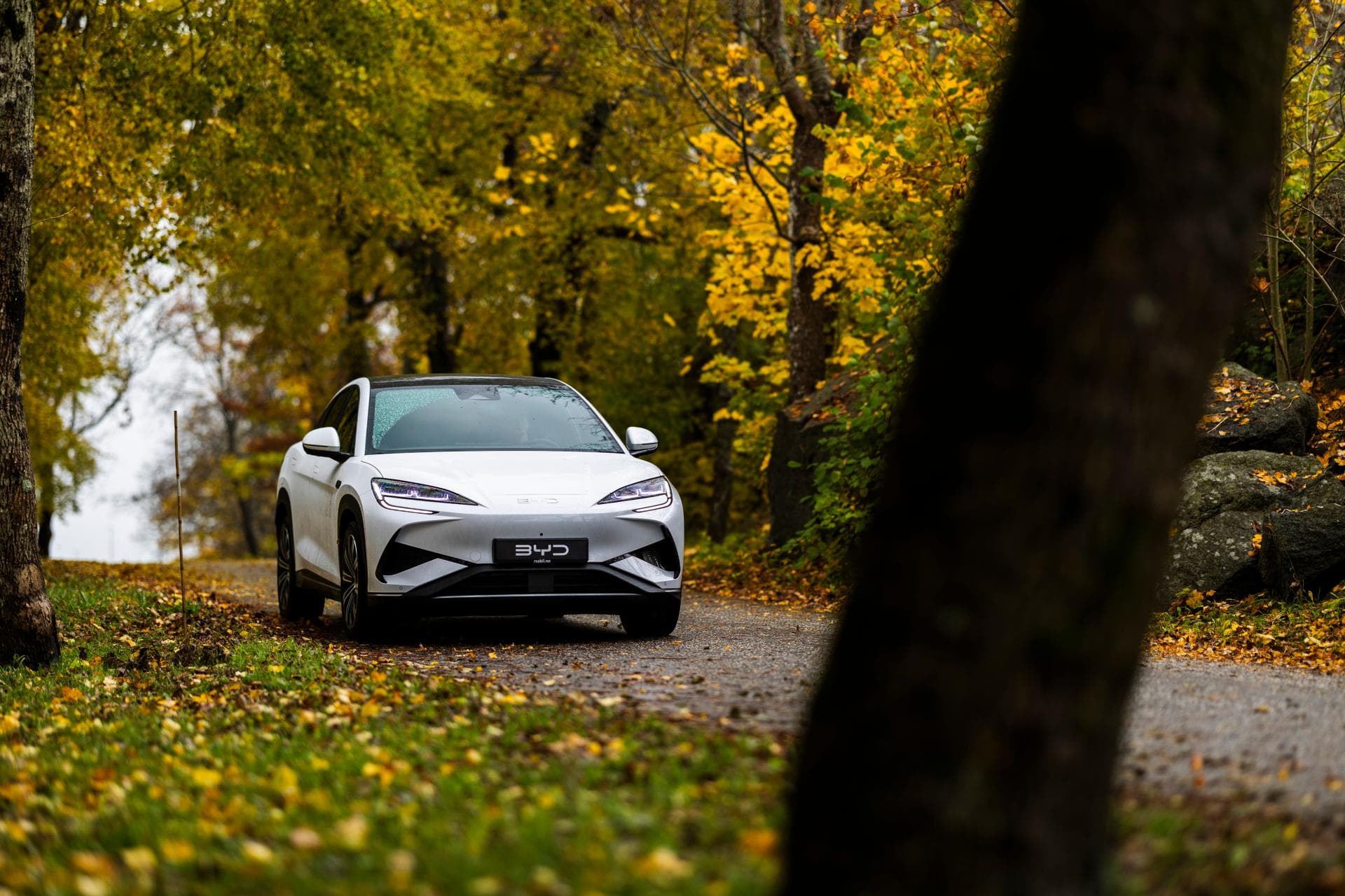 Multispråk merkeplattform for RSA, BYD Sealion